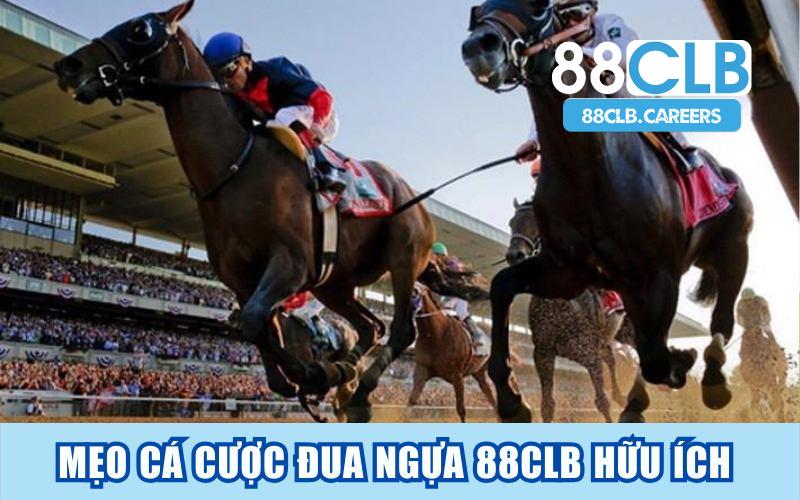 Mẹo chơi cá cược đua ngựa 88CLB hữu ích từ cao thủ